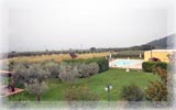 Vista della locanda e dell'oliveto